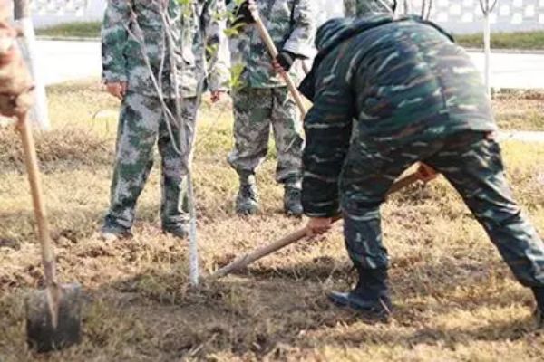 河南省口碑靠谱的问题少年学校排行榜名单出炉